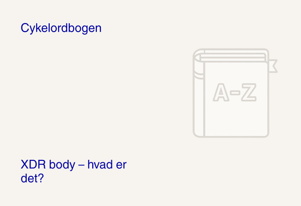 XDR body – hvad er det?