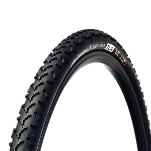 Baby Limus Cykelcross Dæk Tubeless Ready - Challenge - Sort