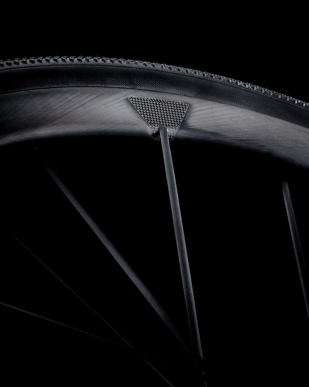 Lightweight Pfadfinder EVO Disc | Lightweight | gioventu.cc
