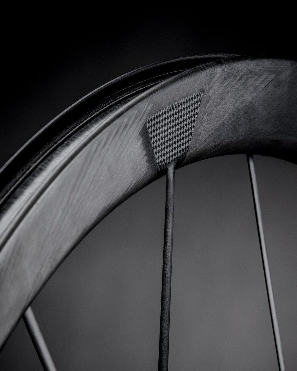 Lightweight Pfadfinder EVO Disc | Lightweight | gioventu.cc